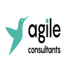 Agile Consultants